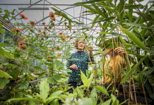Catherine Cutler, Biomes Manager, Eden Project; Sofia Parra, Horticulturist, Eden Project; Jilayne Rickards, Garden Designer; and Cath Lawson, Senior Programme Manager, Eastern Africa, Fauna & Flora. (c) Stephanie Foote / Fauna & Flora